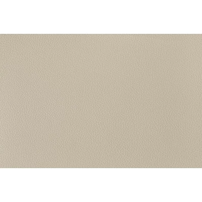 Sahara Beige 